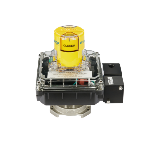 Quantum 765